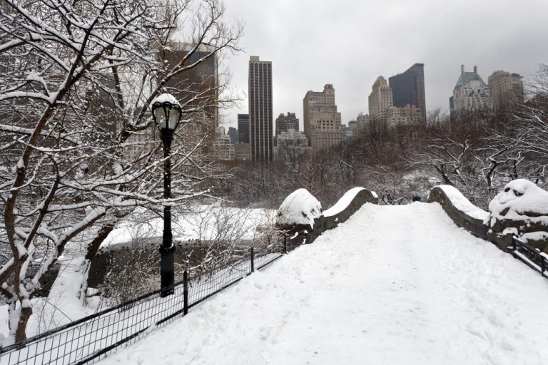 Central,Park,After,Snow,Storm,In,New,York,City