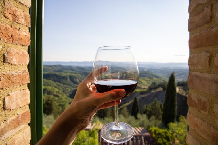 Woman,Holding,A,Glass,Of,Red,Wine,With,Beautiful,Landscape