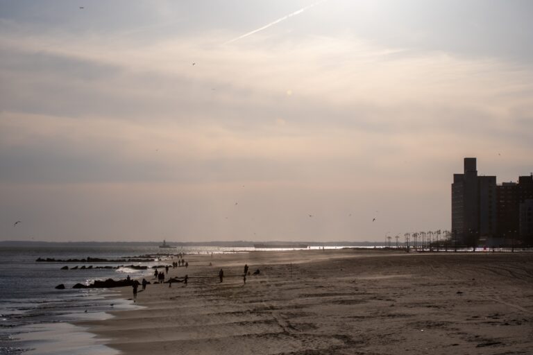 Brooklyn,Beach,During,Evening,With,Walking,People,And,Flying,Seagulls