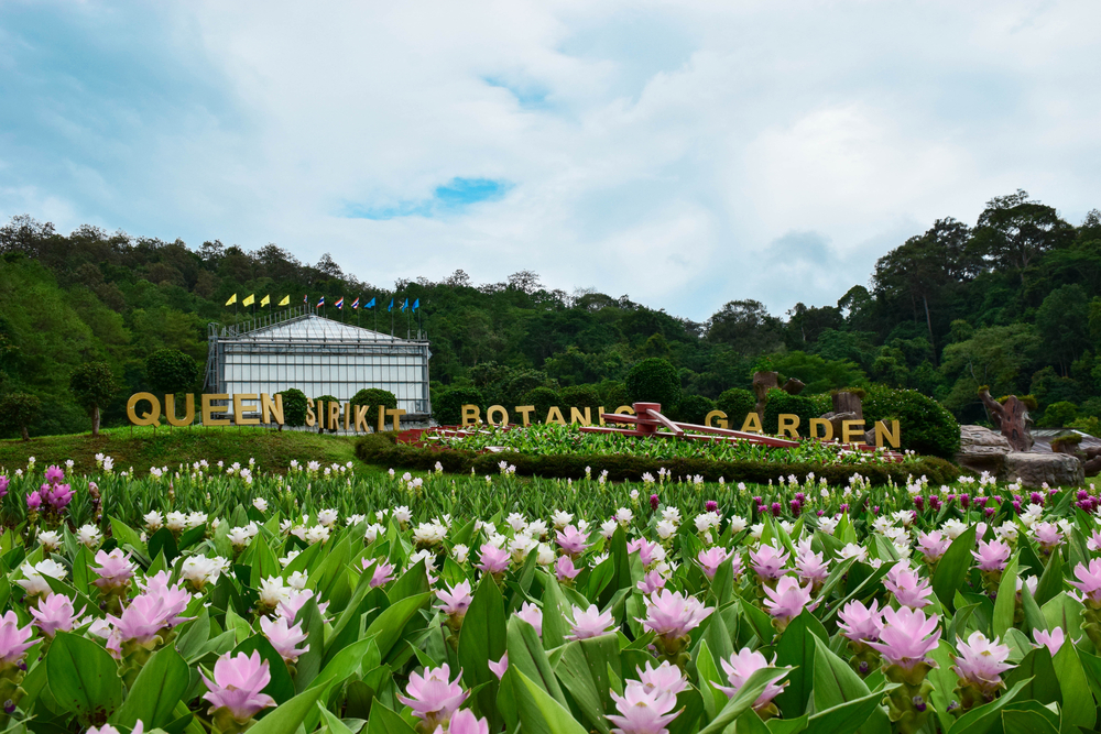 Il queens botanical garden, cuore verde del Queens a New York