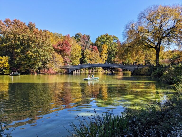 Central,Park,In,Fall,,New,York,-,October,2024