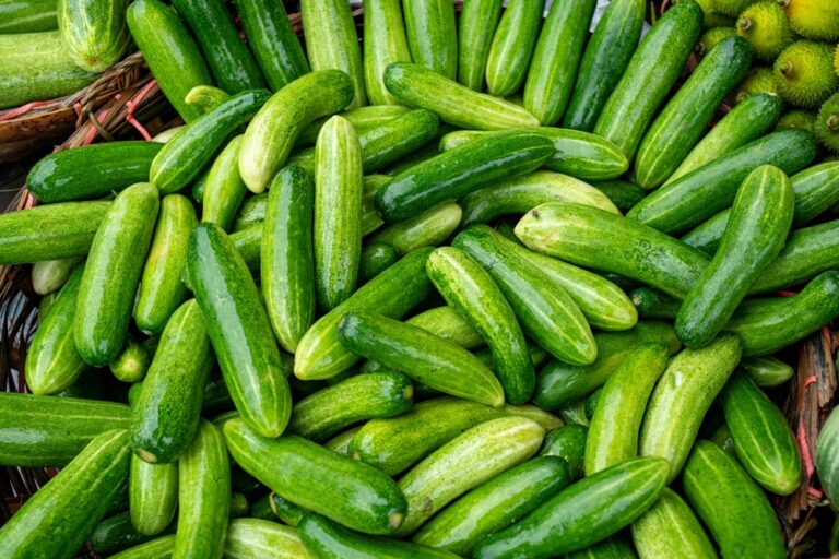 Cucumber,Is,A,Nutritious,Fruit,With,A,High,Water,Content