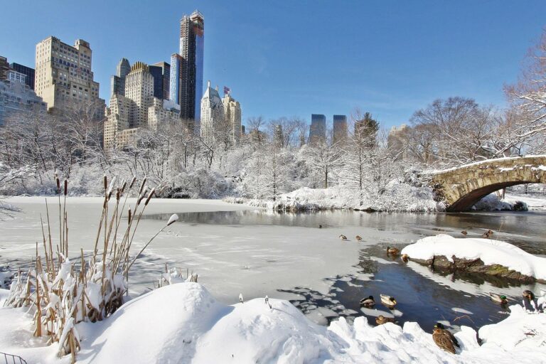 new_york_city_neve