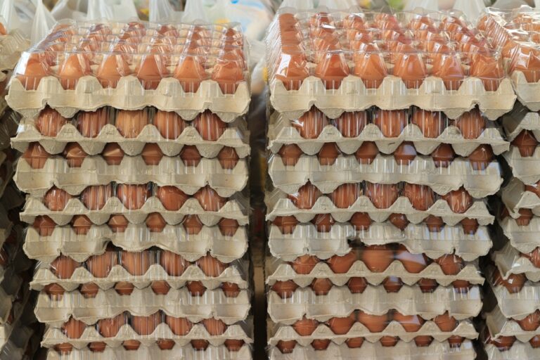 Paper,Trays,Full,Of,Fresh,Eggs,From,The,Laying,Hen