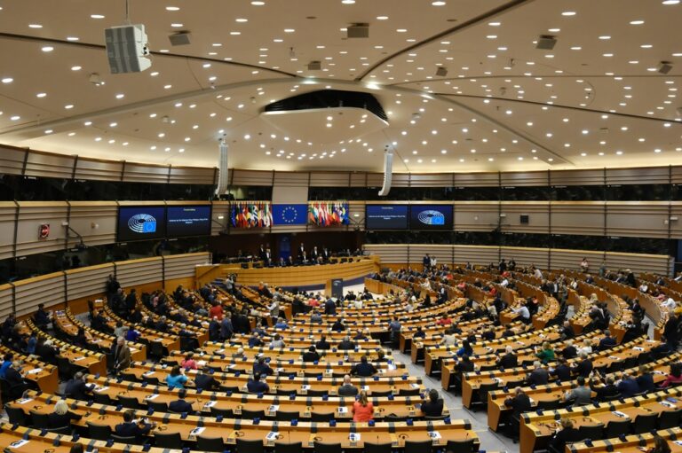 General,View,Of,Plenary,During,The,Speech,Of,King,Philippe