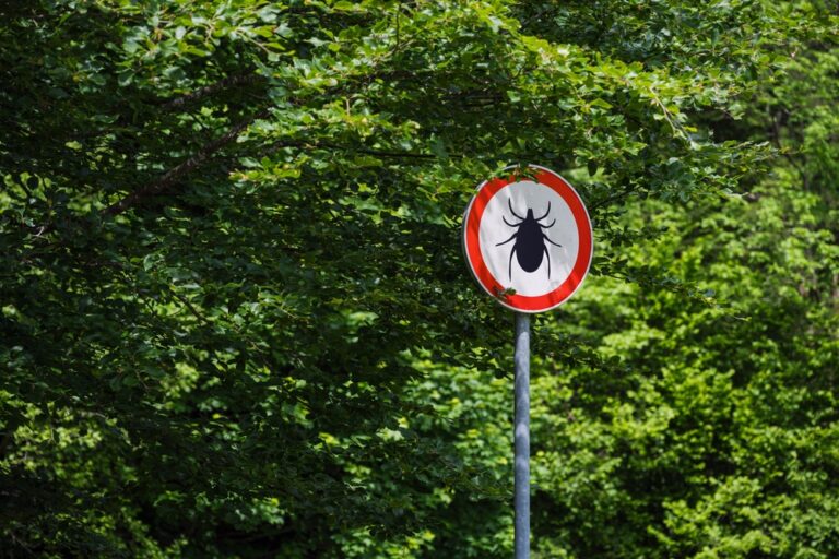 Tick,Infected,Area,With,Danger,Sign