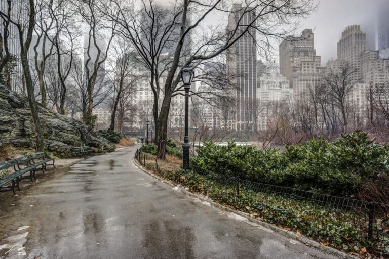 Central,Park,,New,York,City,After,Rain,Storm,On,Sidewalk