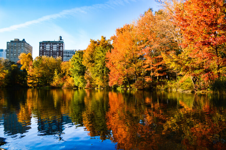 Autumn,Colors,In,Central,Park,-new,York,City