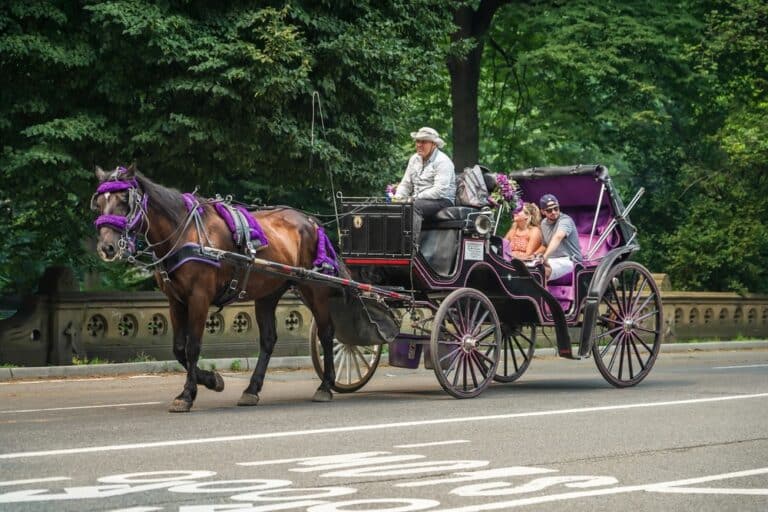 New,York,-,July,20,,2021:,People,Enjoy,Carriage,Ride