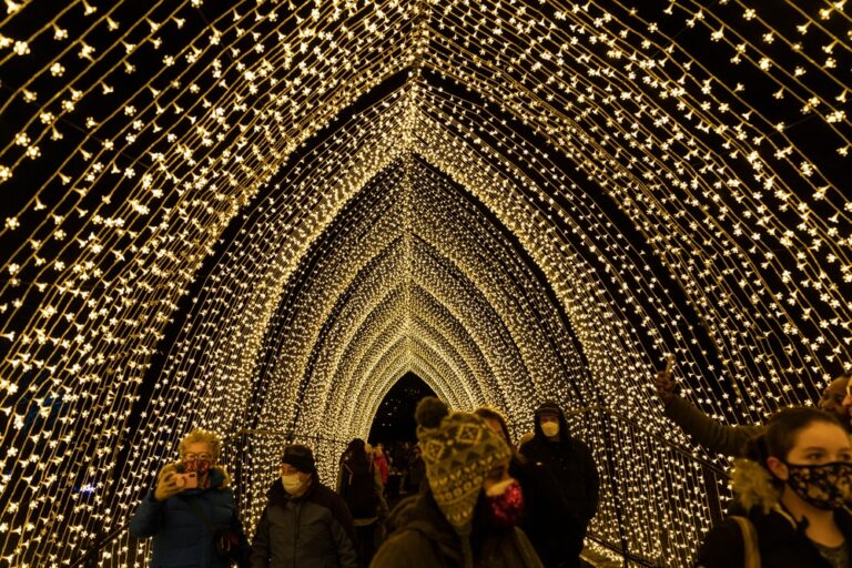 New,York,,Ny,-,December,26,,2021:,Brooklyn,Botanic,Garden