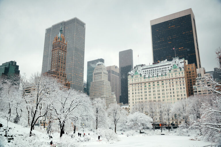 Central,Park,Winter,With,Skyscrapers,In,Midtown,Manhattan,New,York