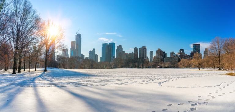 Central,Park,At,Sunny,Winter,Day,,New,York,City,,Usa