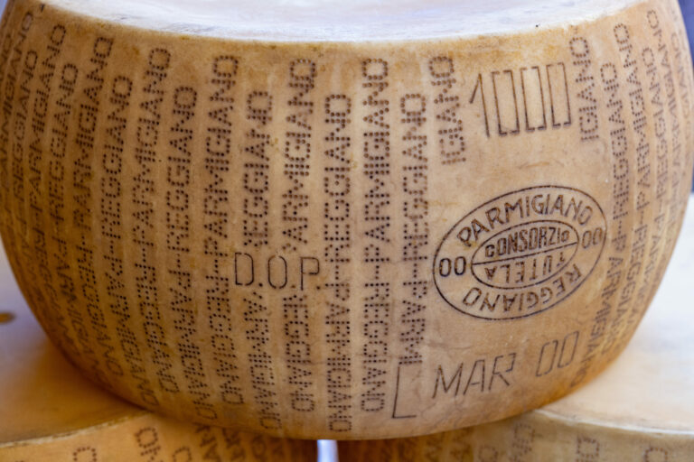 shutterstock_2479898231 (1)