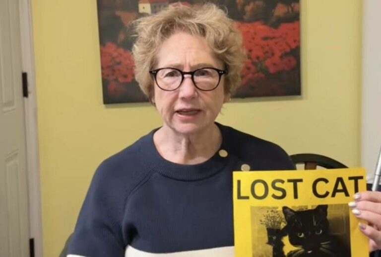 Ellen-Missing-Cat-JFK-Terminal-4-1-1024x689