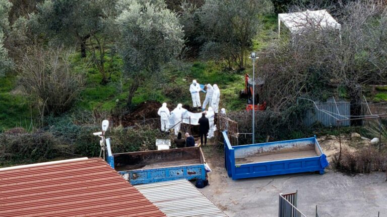 femminicidio anguillara