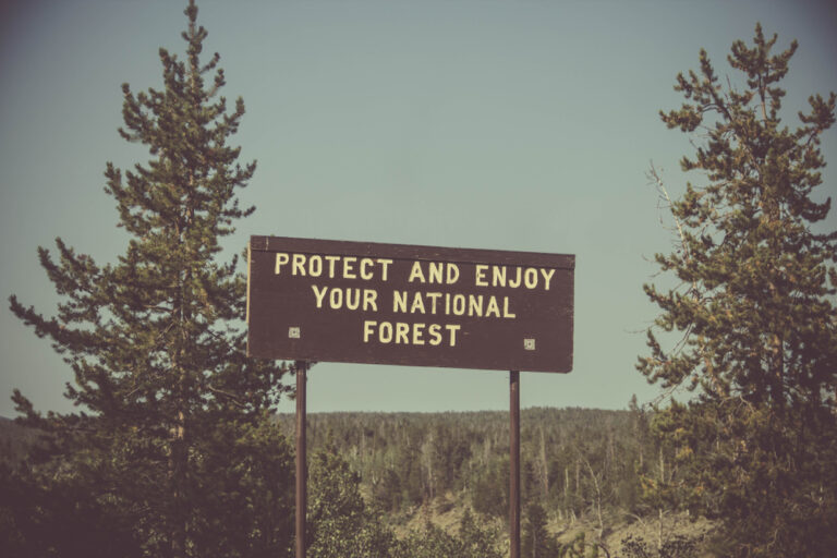 National,Parks,Sign,"protect,And,Enjoy,Your,National,Forest"