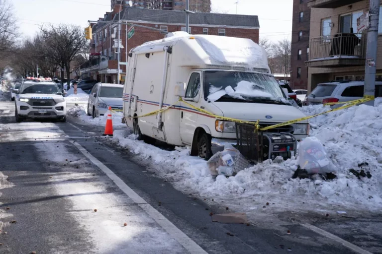 TNY-P40-20260201-113637