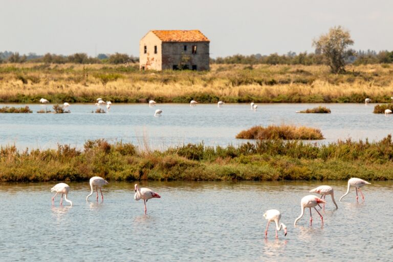 Lidi,Di,Comacchio,Adriatic,Sea,Beach,And,Regional,Park,Po