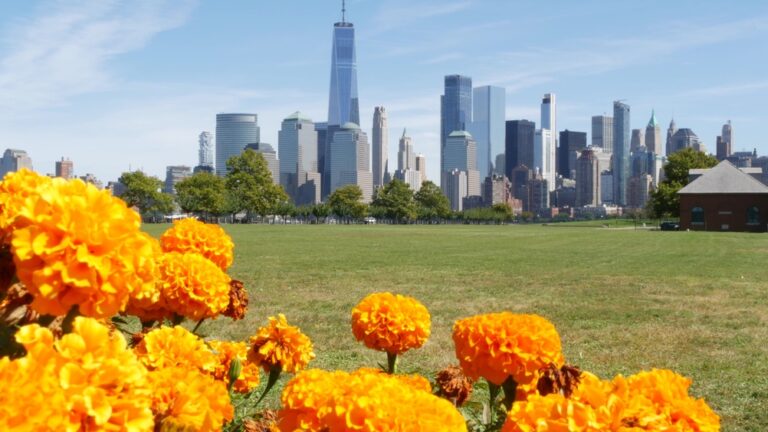 New,York,City,Manhattan,Downtown,Financial,District,Skyline,,World,Trade