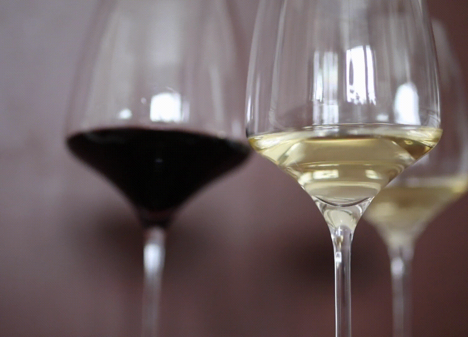 A New York nasce la Nazionale Vini Italiani con Coldiretti