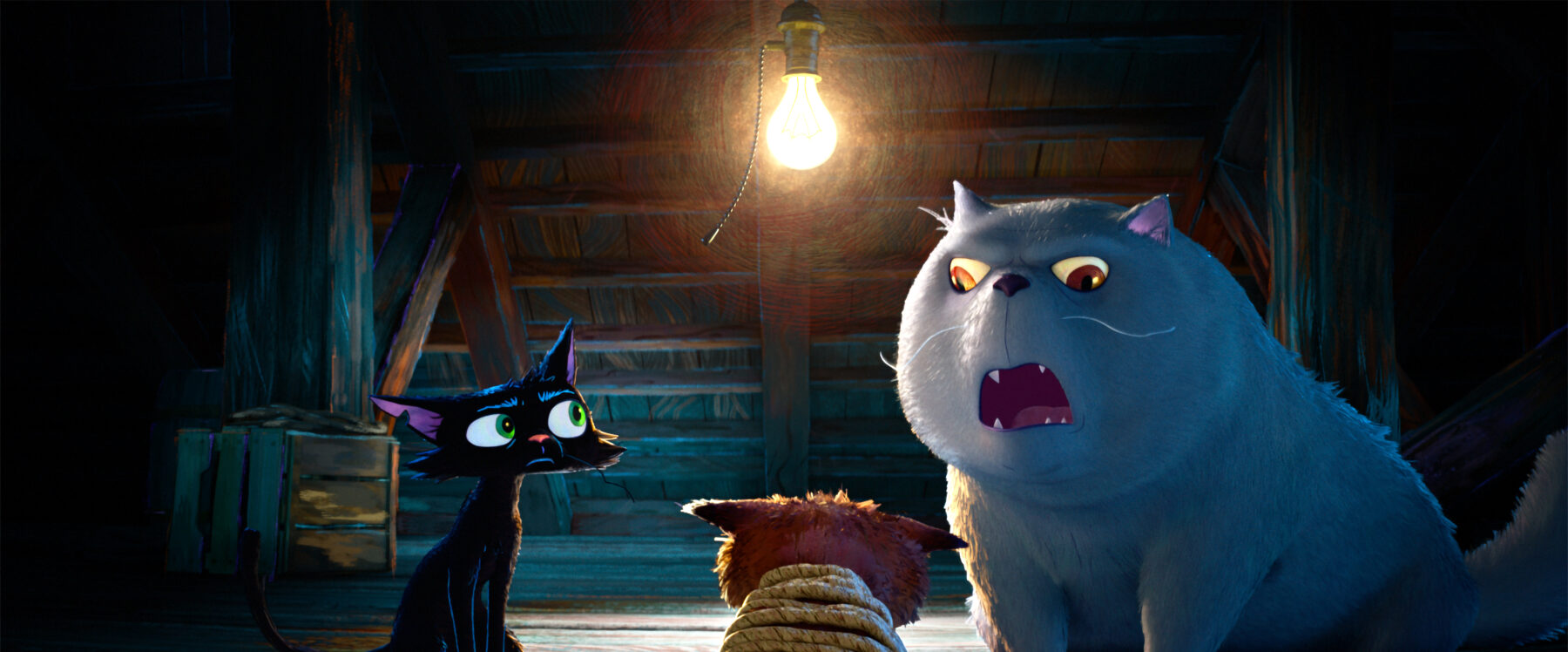 Gatto-Frame-teaser-ilNewyorkese