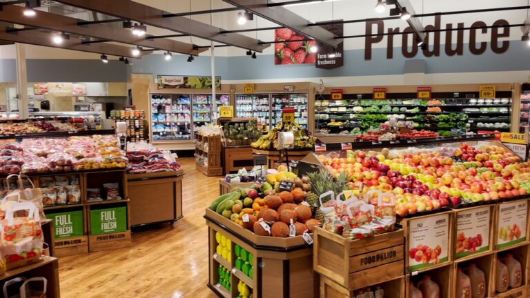 Grovetown,,Ga,Usa,-,11,05,2021:,Food,Lion,Grocery