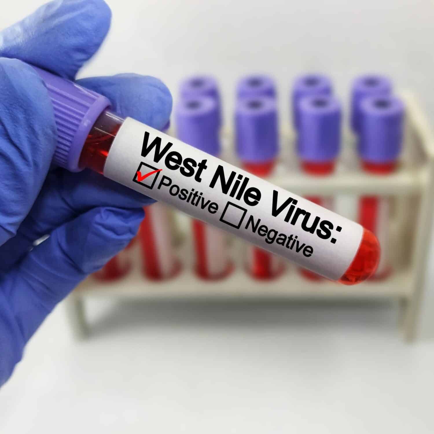 Primo caso dell’anno di West Nile a New York