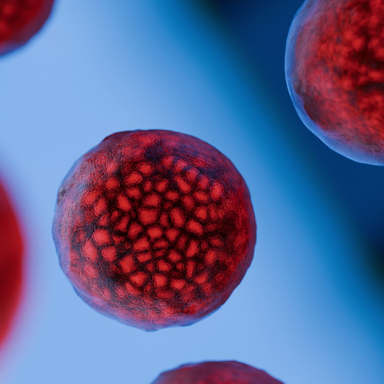 Aumentano i casi di Cyclospora a New York: che cos’è e cosa c’entra la lattuga